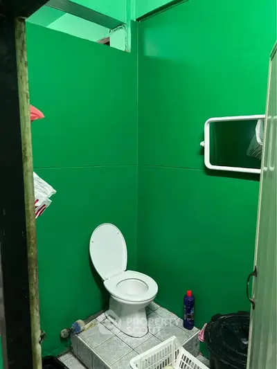 Compact bathroom with green walls and basic amenities, ideal for budget-friendly living spaces.