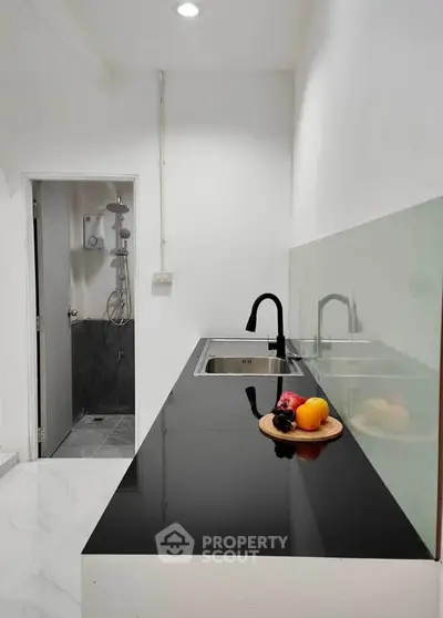 Modern kitchen with sleek black countertop and stainless steel sink