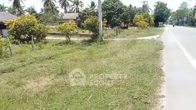 Scenic roadside land with lush greenery and tropical trees, ideal for development or investment.