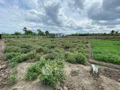 image_rental-27236734