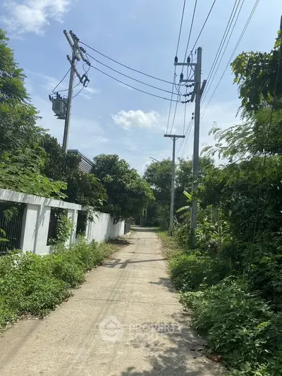 Charming residential pathway surrounded by lush greenery and utility poles, offering a serene suburban vibe.