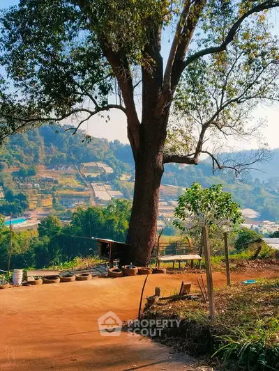 Scenic view of countryside landscape with large tree and distant hills.