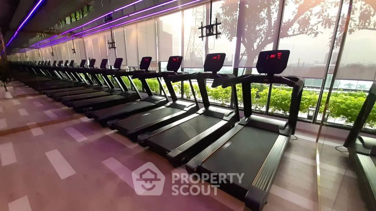 Modern gym with rows of treadmills and large windows offering a scenic view.