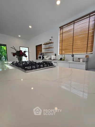 Modern kitchen with sleek countertops and gas stove, featuring natural light and elegant decor.