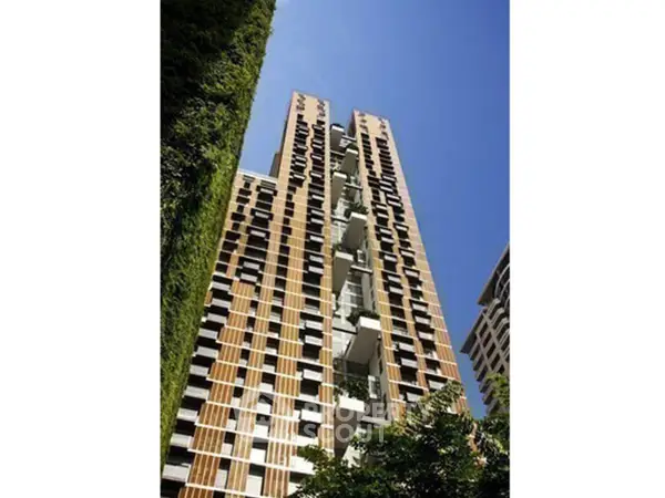 image_rental-30651879