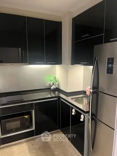 Modern kitchen with sleek black cabinets and stainless steel appliances