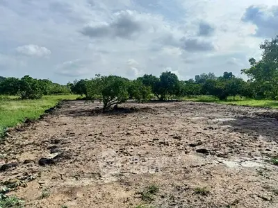 image_rental-29449447