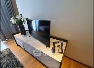 Modern living room with sleek TV stand and elegant decor
