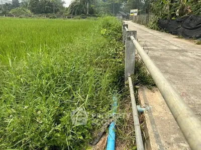 Scenic rural pathway alongside lush green fields, perfect for tranquil living.