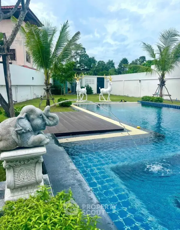 image_rental-30209226