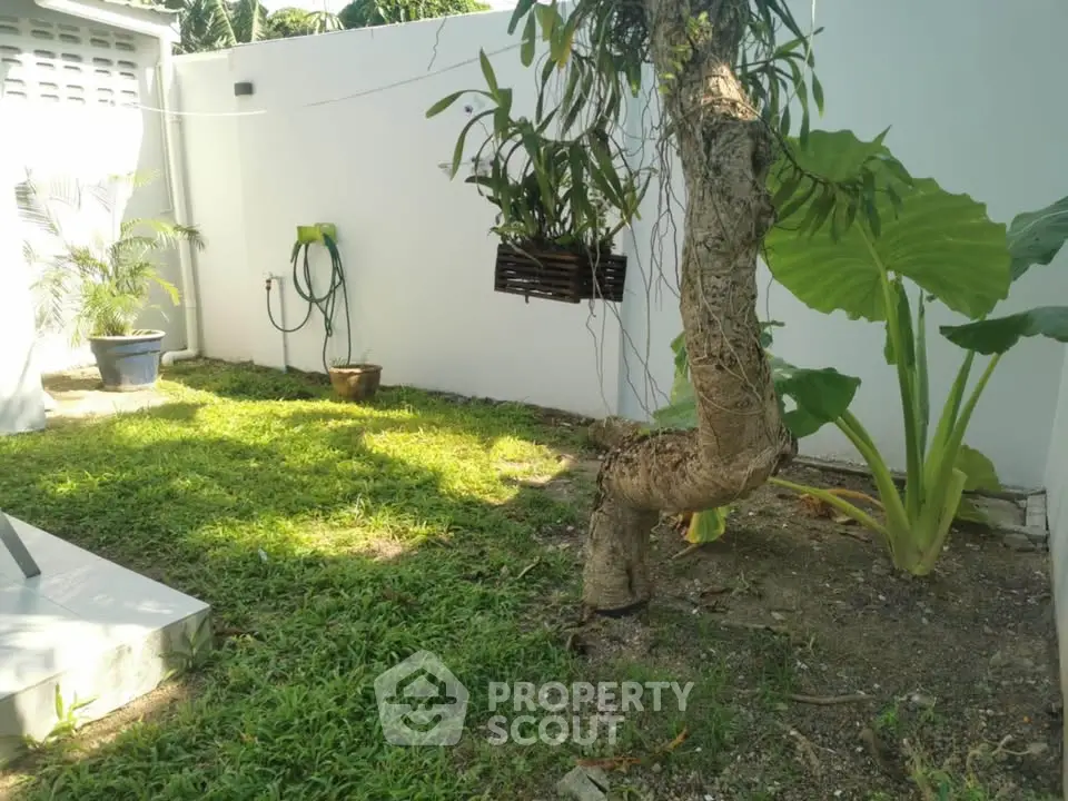 Charming garden area with lush greenery and unique tree in a cozy backyard setting.