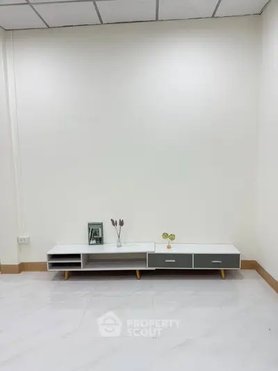 Minimalist living room with sleek white TV stand and decorative accents.