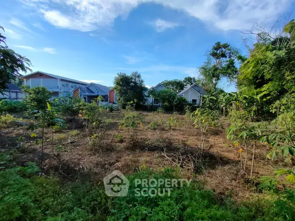 image_rental-12791040