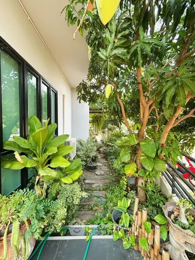 Lush garden balcony with vibrant greenery and potted plants, perfect for relaxation.