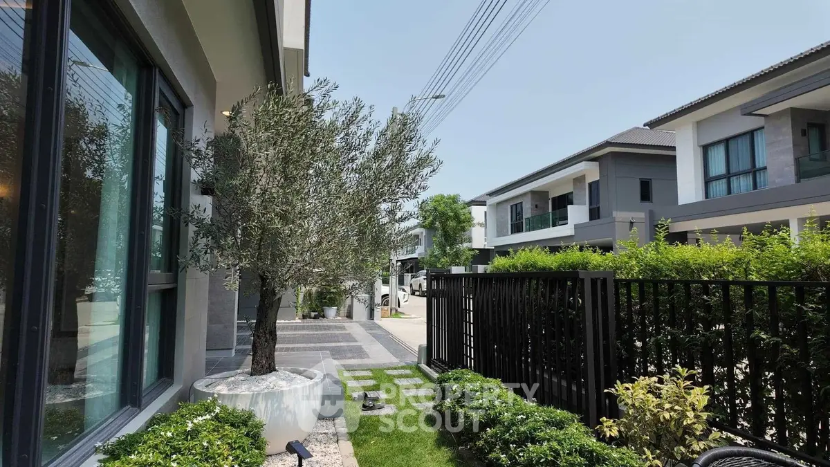 Modern suburban house with landscaped garden and paved driveway