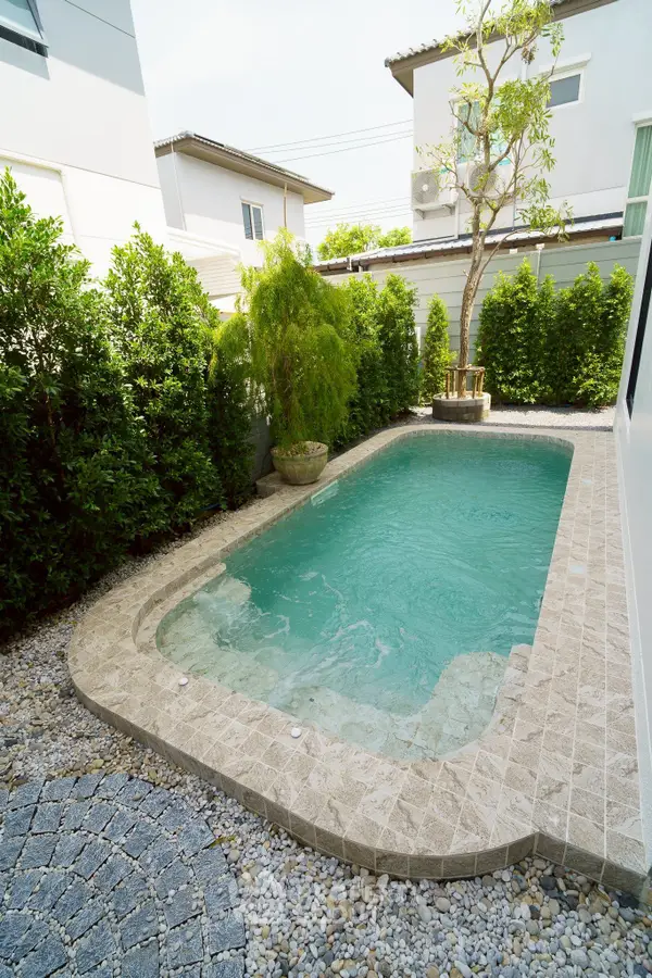 image_rental-29478528