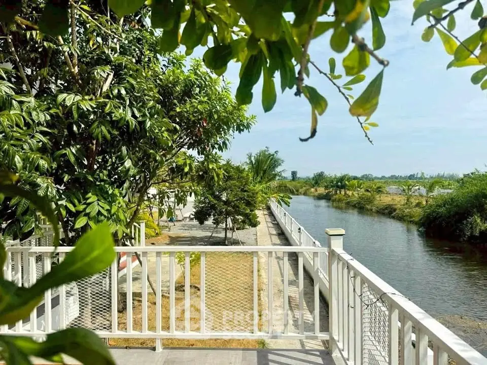 Charming riverside garden with lush greenery and serene water views, perfect for relaxation and outdoor enjoyment.