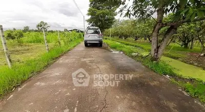 Scenic driveway leading to a lush green orchard with a parked car, perfect for nature lovers.