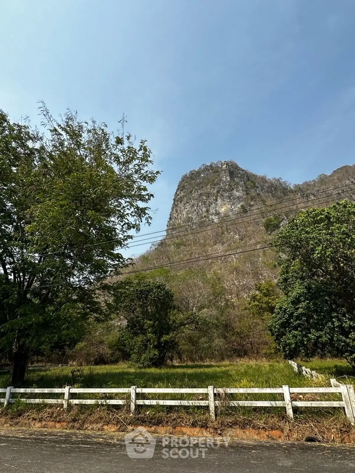 Scenic view of lush greenery and mountain backdrop ideal for real estate development.