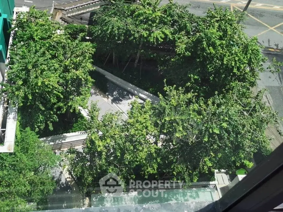 Lush garden view from above with trees and pathways in urban setting.