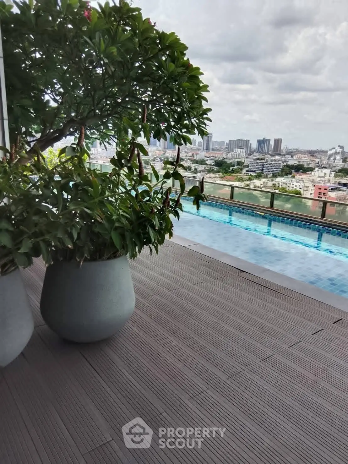 Luxurious rooftop pool with stunning city view and lush greenery