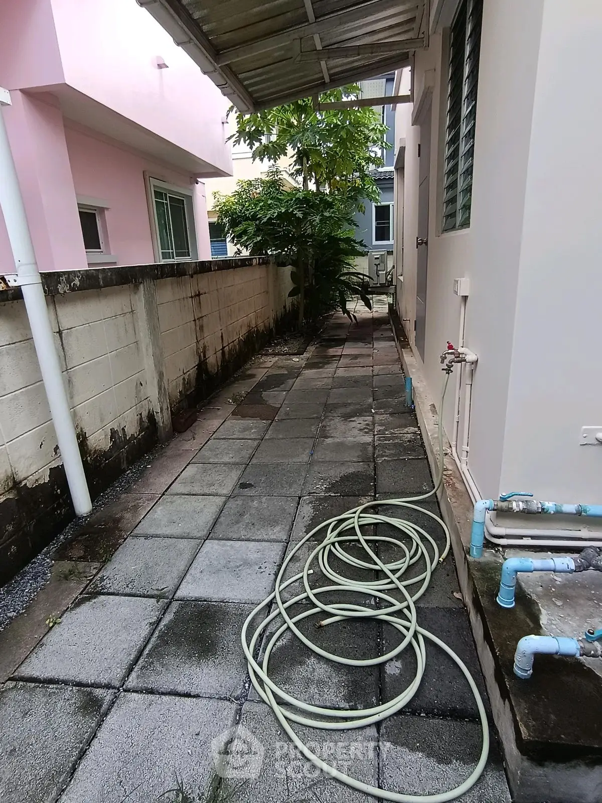 Narrow outdoor walkway with garden hose and utility pipes, adjacent to residential building.