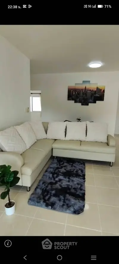 Modern living room with stylish sectional sofa and decorative rug