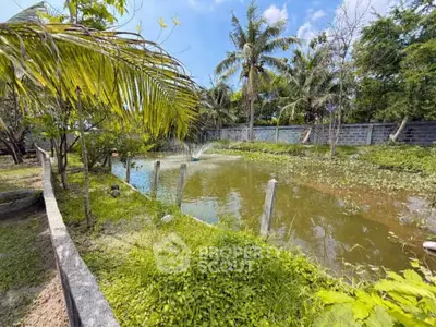 Lush garden with a serene pond surrounded by tropical trees, perfect for tranquil outdoor living.