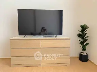 Modern living room with sleek TV on wooden cabinet and stylish plant decor.