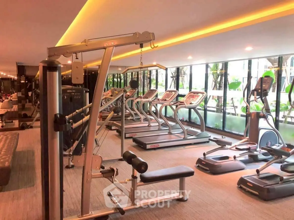 Spacious modern gym with state-of-the-art equipment and large windows offering garden views.