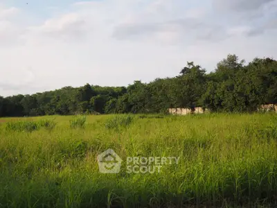 Expansive green land with lush vegetation, perfect for development opportunities.
