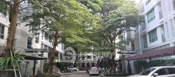 image_rental-29852752