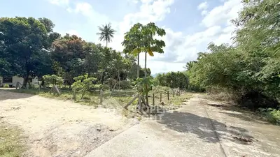 image_rental-27631241