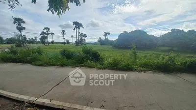 Scenic view of lush green landscape with palm trees and open sky, ideal for real estate development.