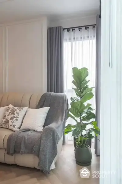 Cozy living room corner with plush sofa, elegant curtains, and vibrant potted plant enhancing the serene ambiance of a modern home.