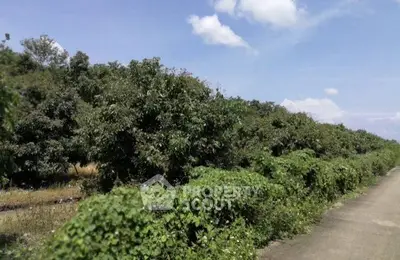 Expansive land with lush greenery and clear skies, perfect for development or agriculture.
