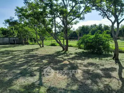 Spacious green garden with trees and open sky, perfect for outdoor activities.