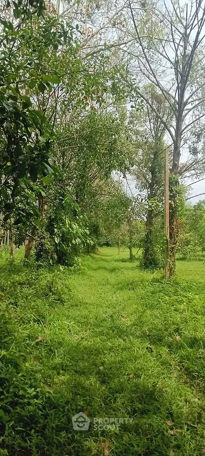 Lush green landscape with trees and open grassy area, perfect for serene outdoor living.