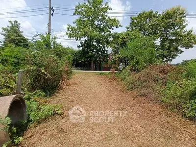 Spacious land plot with lush greenery and clear sky, ideal for development.