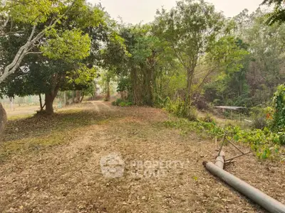 Expansive plot of land with lush greenery, perfect for development or agriculture.