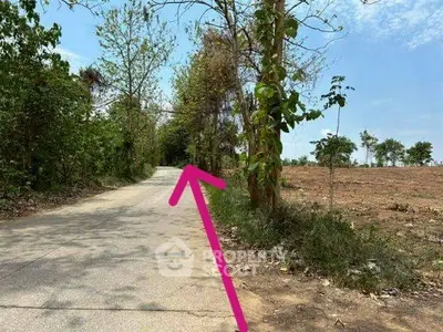 Scenic rural road with lush greenery and open fields, ideal for real estate development.