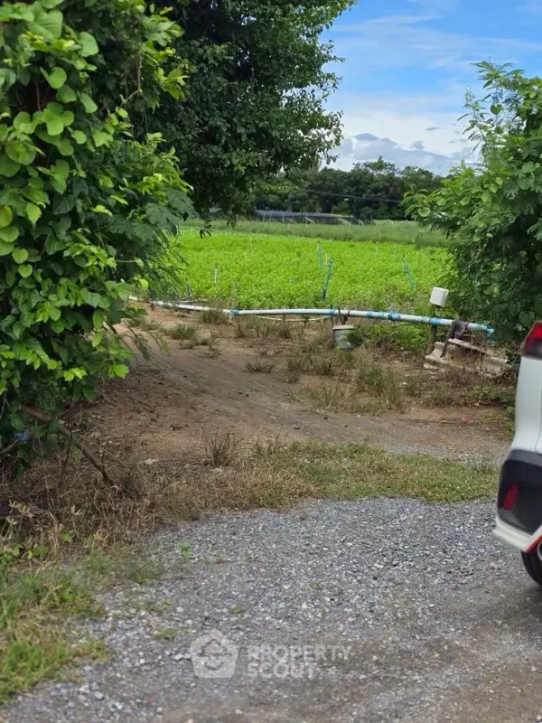 image_rental-26971758