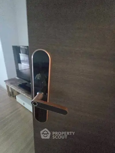 Modern interior door with sleek handle and glimpse of living room furniture.
