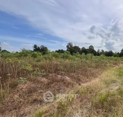 Screenshot 2025-10-30 092611.png