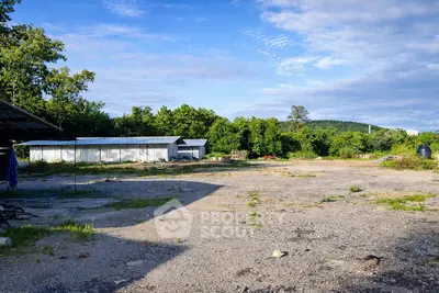 Expansive outdoor plot with lush greenery and clear blue sky, ideal for development opportunities.