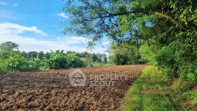 image_rental-26885798