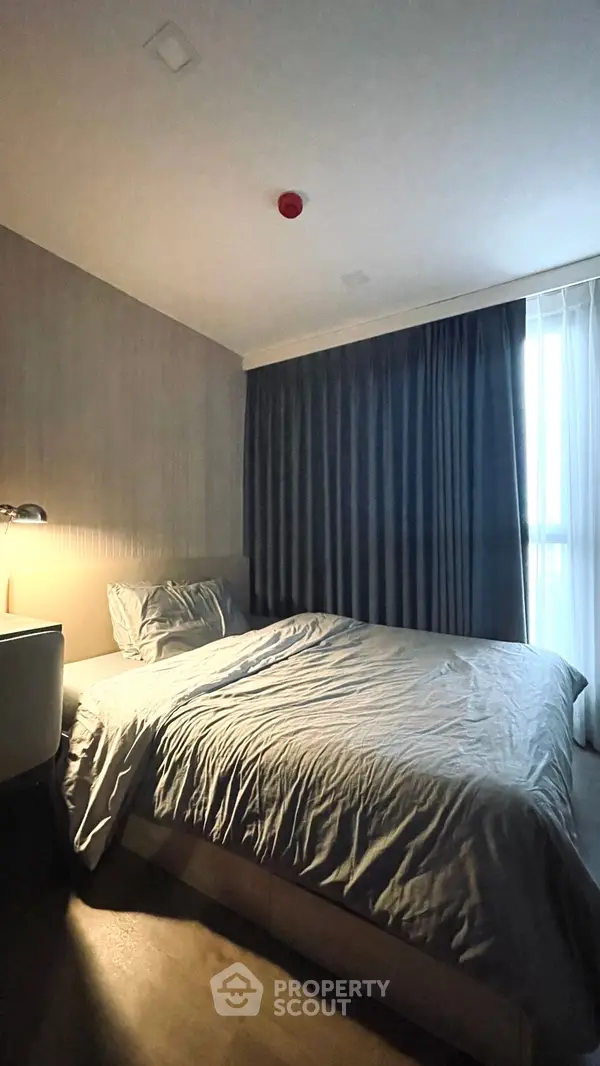 image_rental-24502061