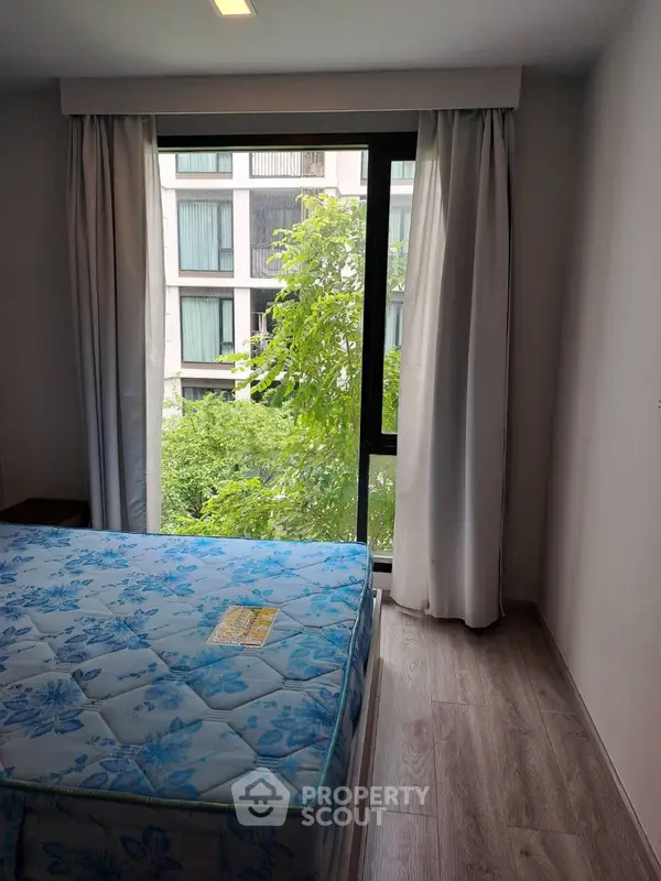 image_rental-30825525