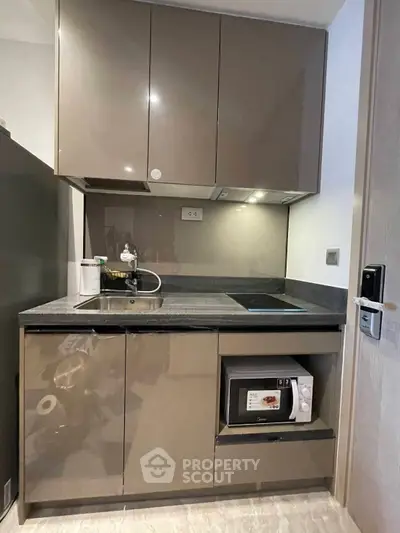 Compact modern kitchen with sleek cabinets and built-in microwave