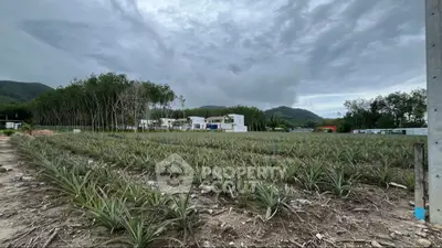 image_rental-27097274